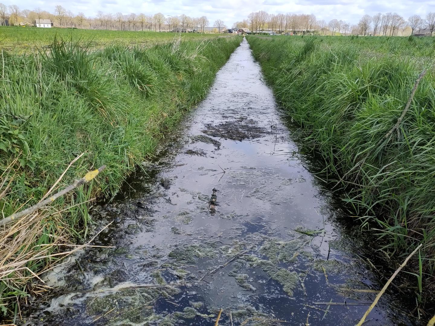 Strengere controles op mestopslagen in Noord-Brabant